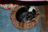 Enlarge photo 17