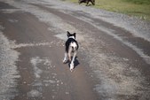 Enlarge photo 18
