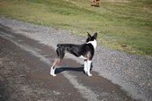 Enlarge photo 19
