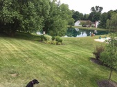 Enlarge photo 12