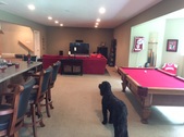 Enlarge photo 15