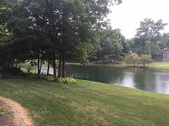 Enlarge photo 22