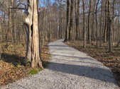 Enlarge photo 18