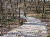 Enlarge photo 21