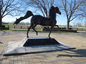 Kentucky Horse Park