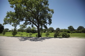 Enlarge photo 63