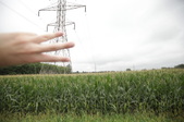Enlarge photo 19