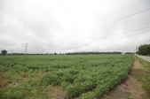 Enlarge photo 35