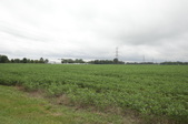 Enlarge photo 38