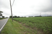 Enlarge photo 39