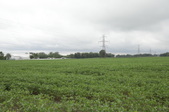 Enlarge photo 40