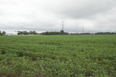 Enlarge photo 41