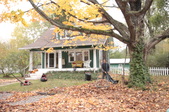 Enlarge photo 44