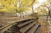 Enlarge photo 184