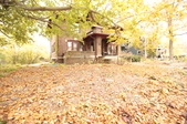 Enlarge photo 197