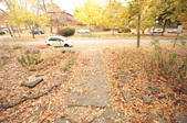 Enlarge photo 202