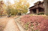 Enlarge photo 204