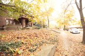 Enlarge photo 205