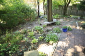 Enlarge photo 82