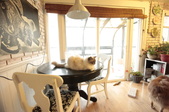 Enlarge photo 49