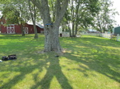 Enlarge photo 2