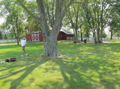 Enlarge photo 3