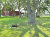 Enlarge photo 5
