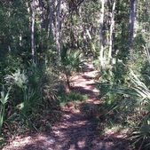 Ponte Vedra Beach, FL