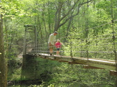 Enlarge photo 47