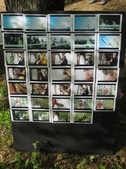 Enlarge photo 52