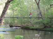 Enlarge photo 57