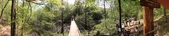 Enlarge photo 60