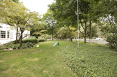 Enlarge photo 107