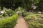 Enlarge photo 110