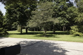 Enlarge photo 88