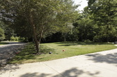 Enlarge photo 90