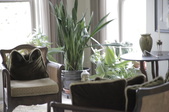 Enlarge photo 48