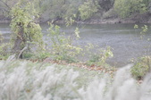 Enlarge photo 52