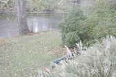 Enlarge photo 53