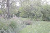Enlarge photo 55