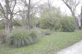 Enlarge photo 56