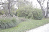 Enlarge photo 57