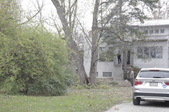Enlarge photo 59
