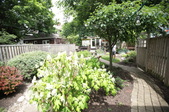 Enlarge photo 63