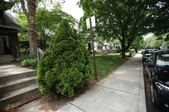 Enlarge photo 66