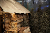 Enlarge photo 12