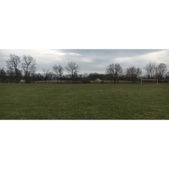 Parks