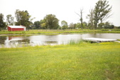 Enlarge photo 37
