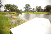 Enlarge photo 39