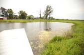 Enlarge photo 40